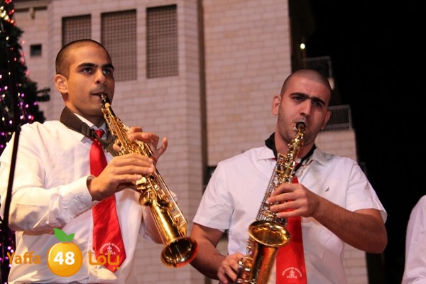 tree light 1208 (115).JPG